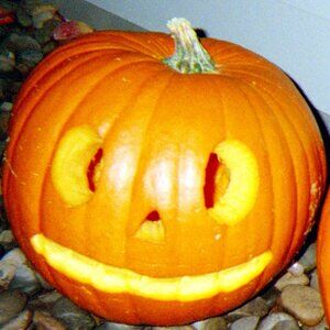 Meet your Posher, Rain